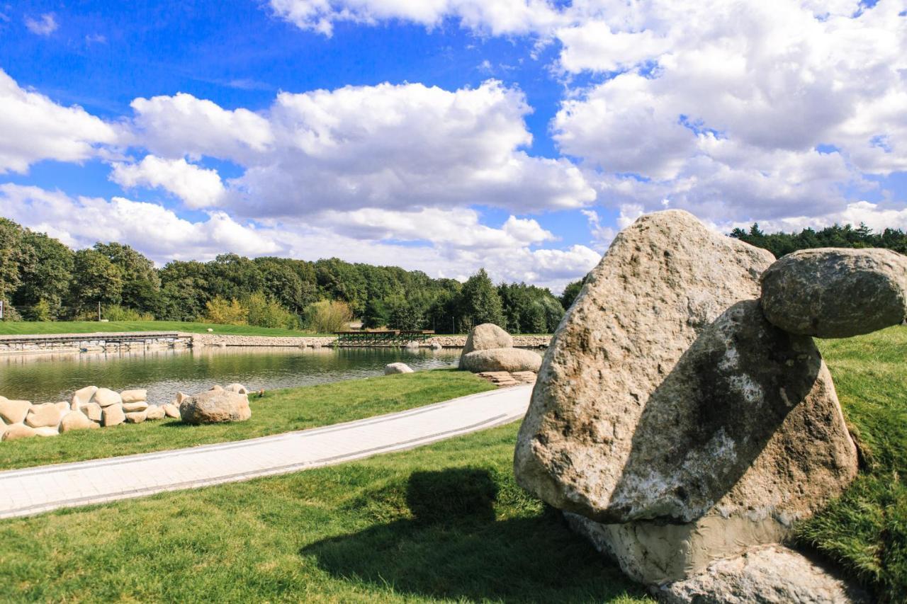 Галицька Корона Davidov المظهر الخارجي الصورة