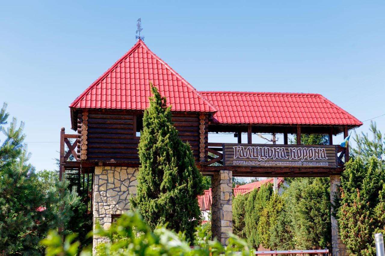 Галицька Корона Davidov المظهر الخارجي الصورة